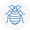 Bed Bug Extermination In Collier Row