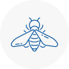 Bee Nest Removal Collier Row