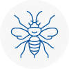 Collier Row Hornet Nest Removals
