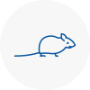 Mice Exterminators In Collier Row