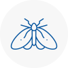 Moth Control Specialists In Collier Row