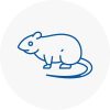 Rat Control Collier Row