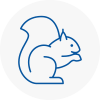 Collier Row Rodent Removals