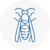 Collier Row Wasp Nest Removal